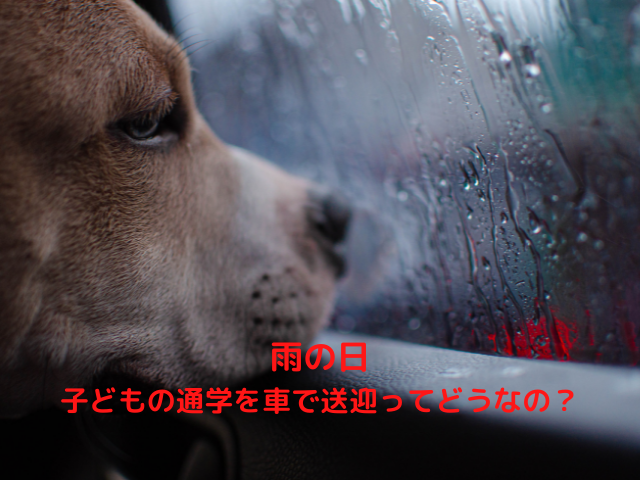 雨の日に子どもの通学を車で送迎ってどうなの？