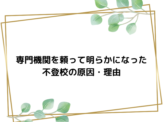 専門機関を頼って明らかになった不登校の原因・理由