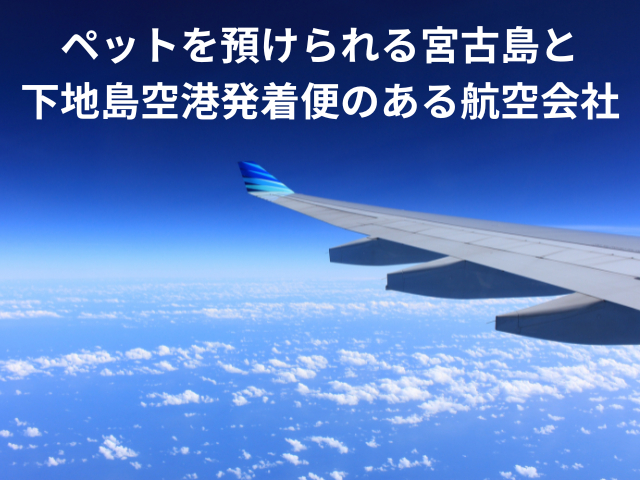 ペットを預けられる宮古島・下地島空港発着便のある航空会社