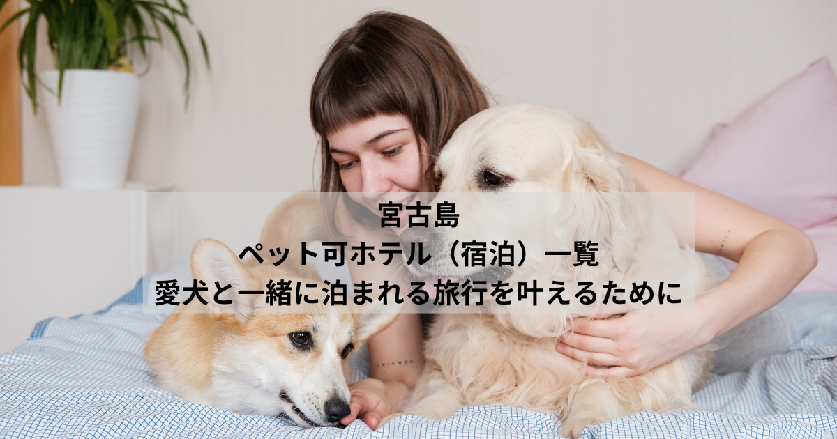 宮古島ペット可ホテル（宿泊）一覧｜愛犬と一緒に泊まれる旅行を叶えるために